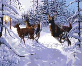 Олени и Косули зимой 