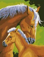 Картины по номерам Лошадь и жеребенок