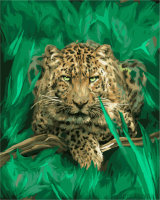 Картины по номерам Леопард наблюдает