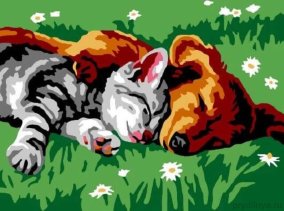 Картины по номерам Котенок и щенок 