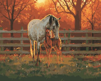 Картина по номерам Тихое время у лошадей