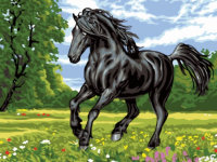 Картины по номерам Черный конь