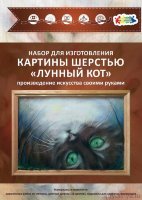 Набор для создания картины из шерсти Лунный кот 20x30