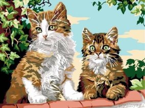 Картина по номерам Котята на заборе 