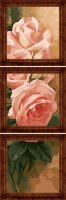 Картины по номерам Нежные розы 50х50 см  