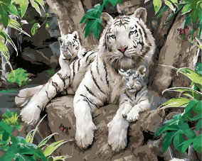 Картина по номерам Белые тигры 