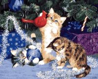 Игры котов