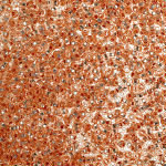 Бисер Preciosa 10/0 арт. TCD цв.08288 / 331-19001 уп.50гр. 1